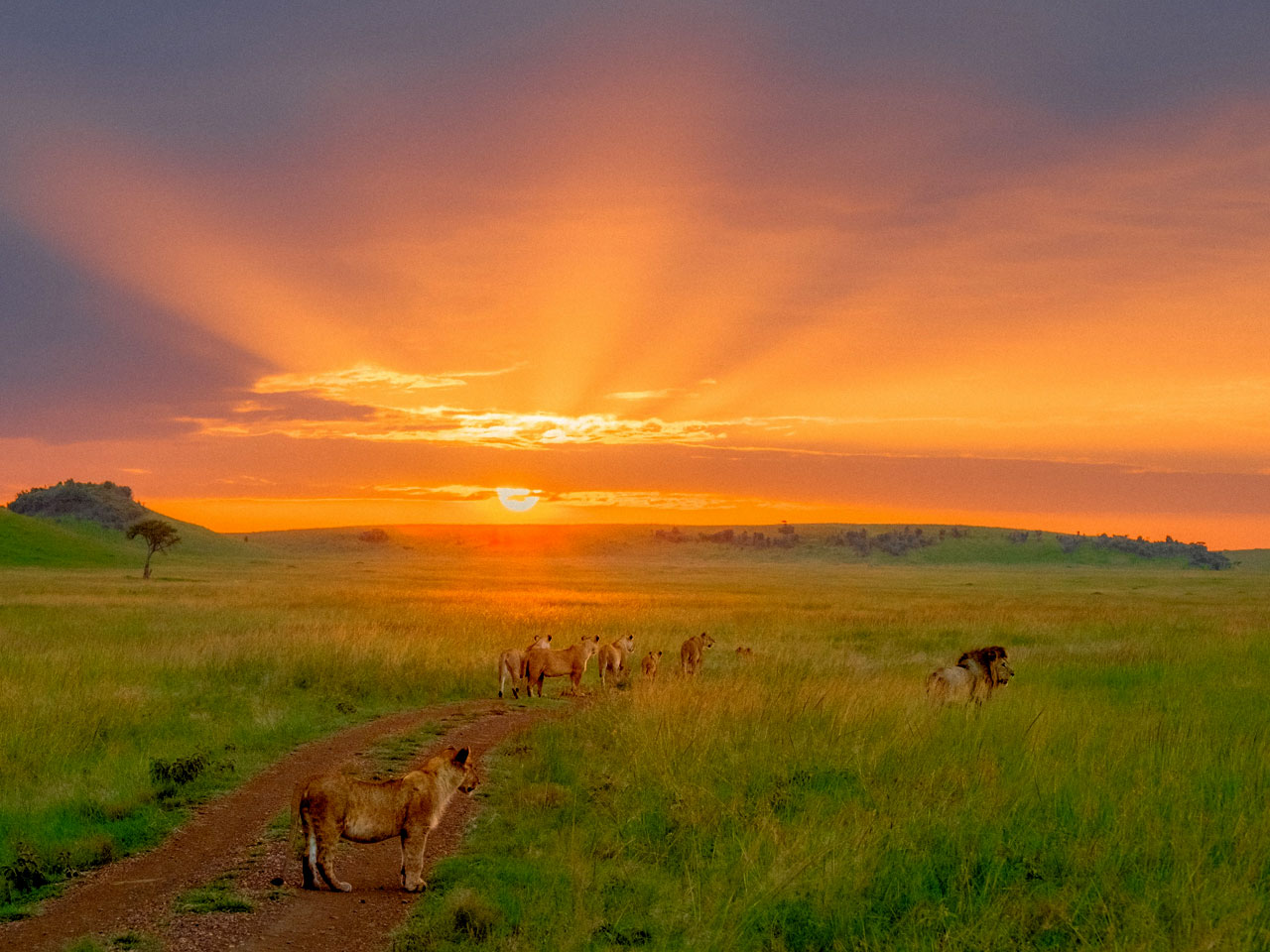 3-days-masai-mara-safari