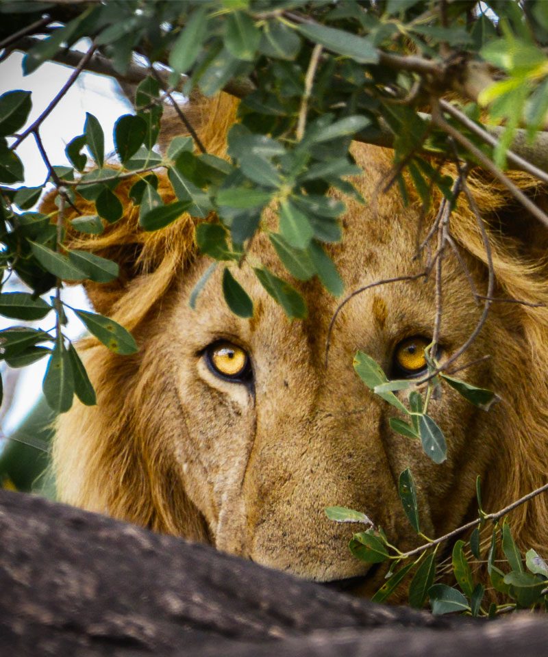 3-days-queen-elizabeth-national-park