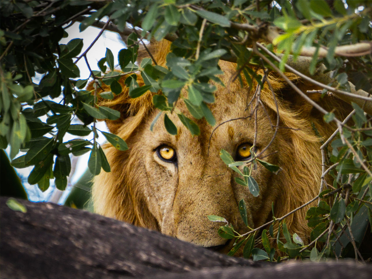 3-days-queen-elizabeth-national-park