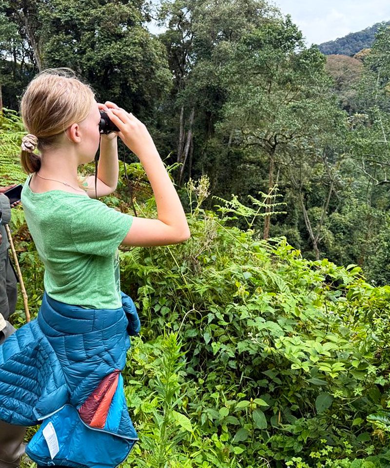 8-days-rwanda-gorilla-chimpanzee-safari