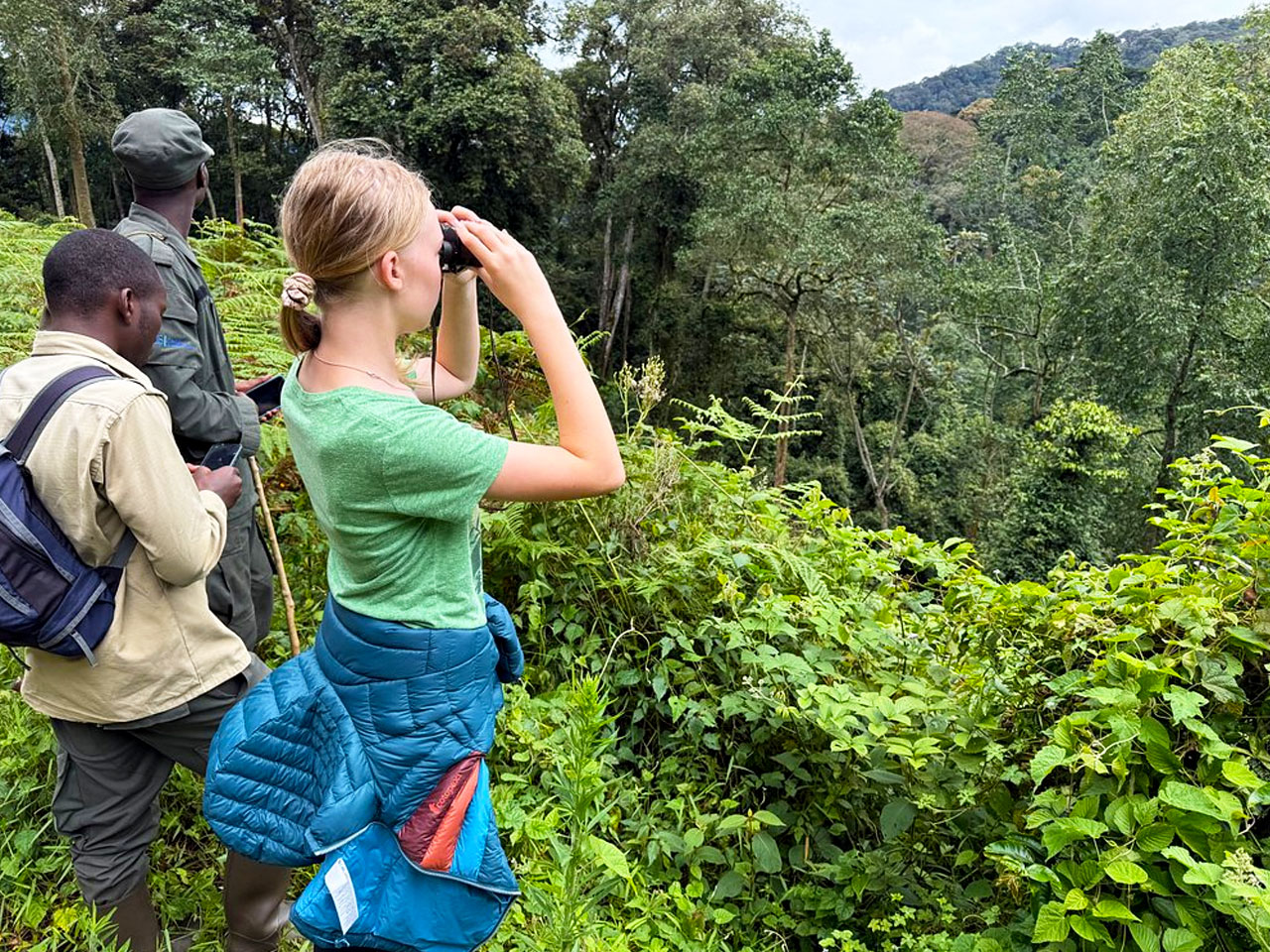 8-days-rwanda-gorilla-chimpanzee-safari