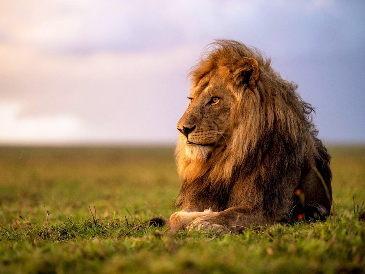 6-days-tanzania-northern-circuit-safari