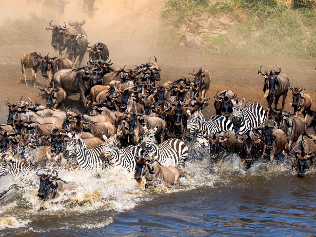 7-days-tanzania-wildebeest-migration-safari
