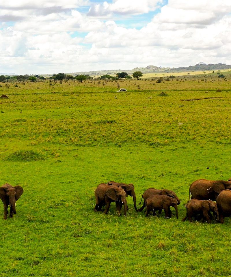 5-days-kidepo-valley-wildlife-safari