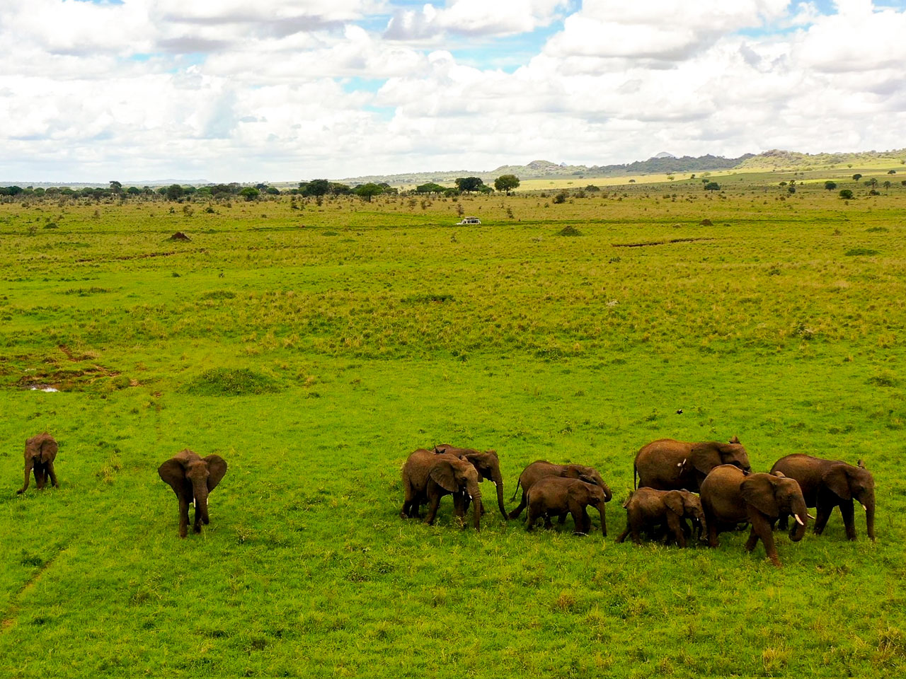 5-days-kidepo-valley-wildlife-safari