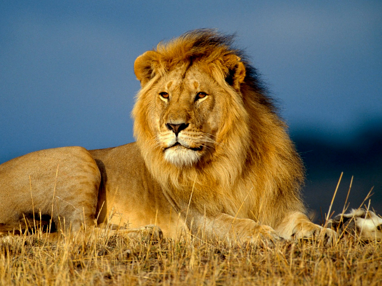 5-days-uganda-safari-tour